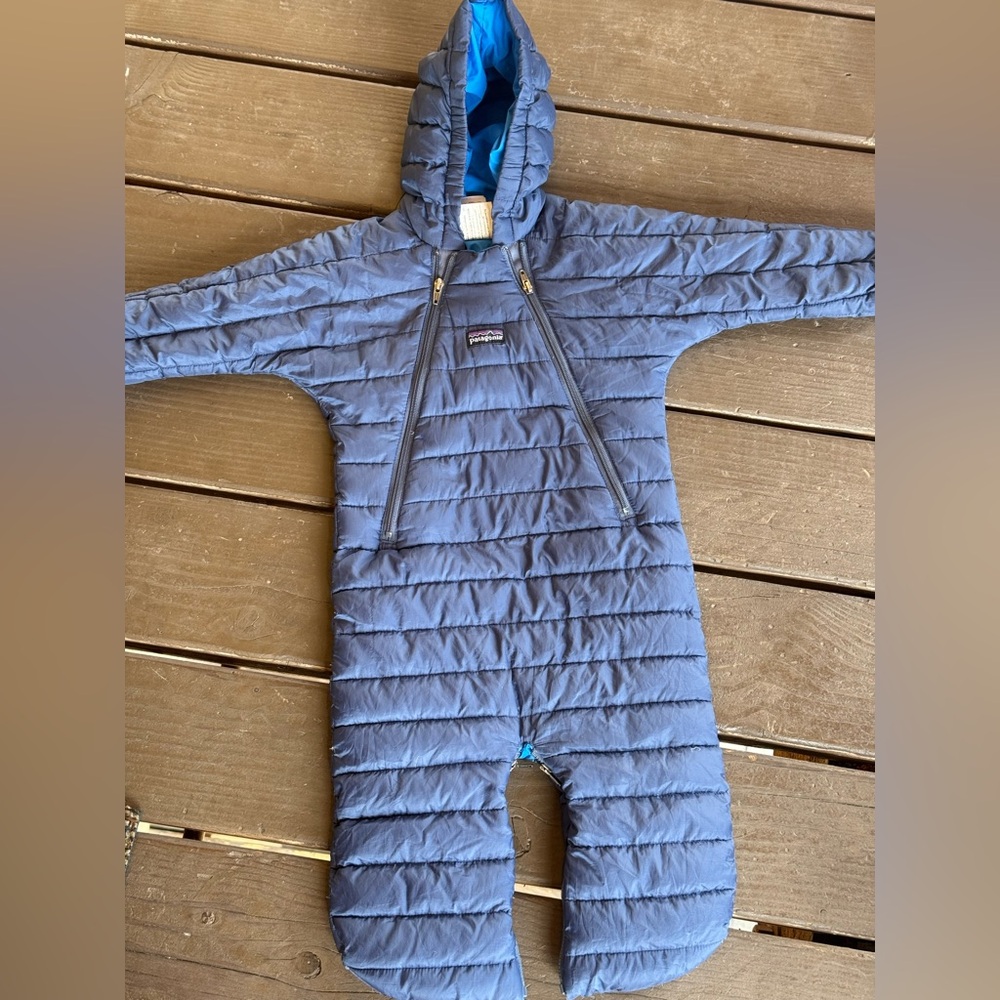 Patagonia Down Bunting - Picture 2 of 5